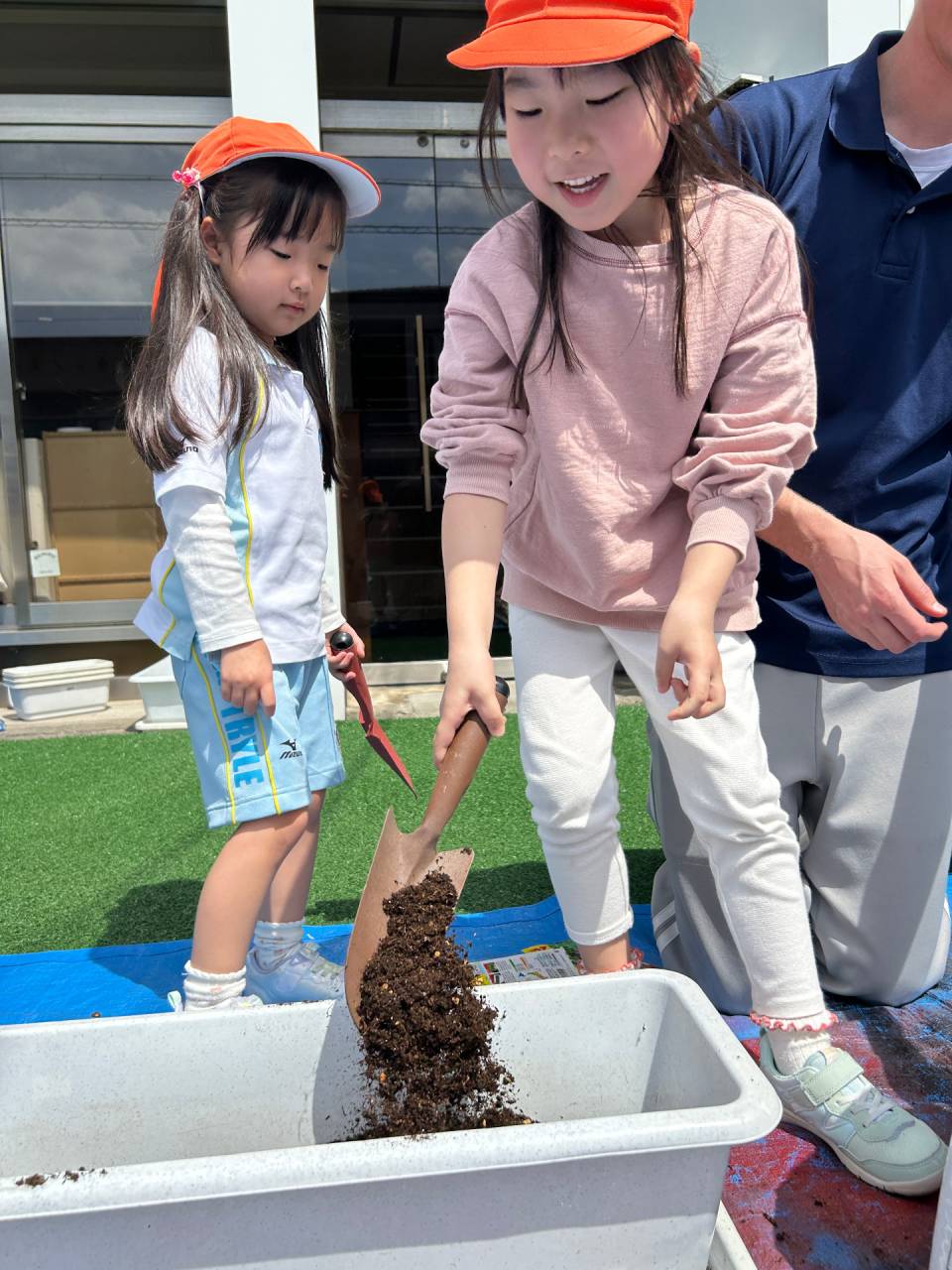 From Seeds to Salad ☆ Kindy 3